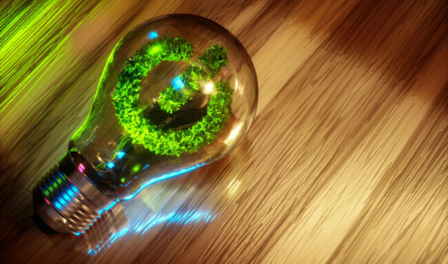 green_your_business How to Green Your Business